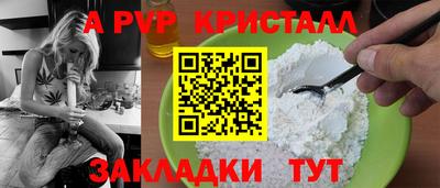 крисы Гатчина