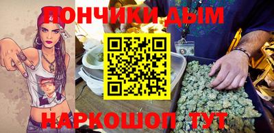 крисы Гатчина