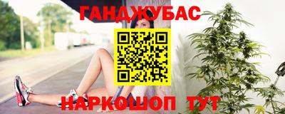 крисы Гатчина