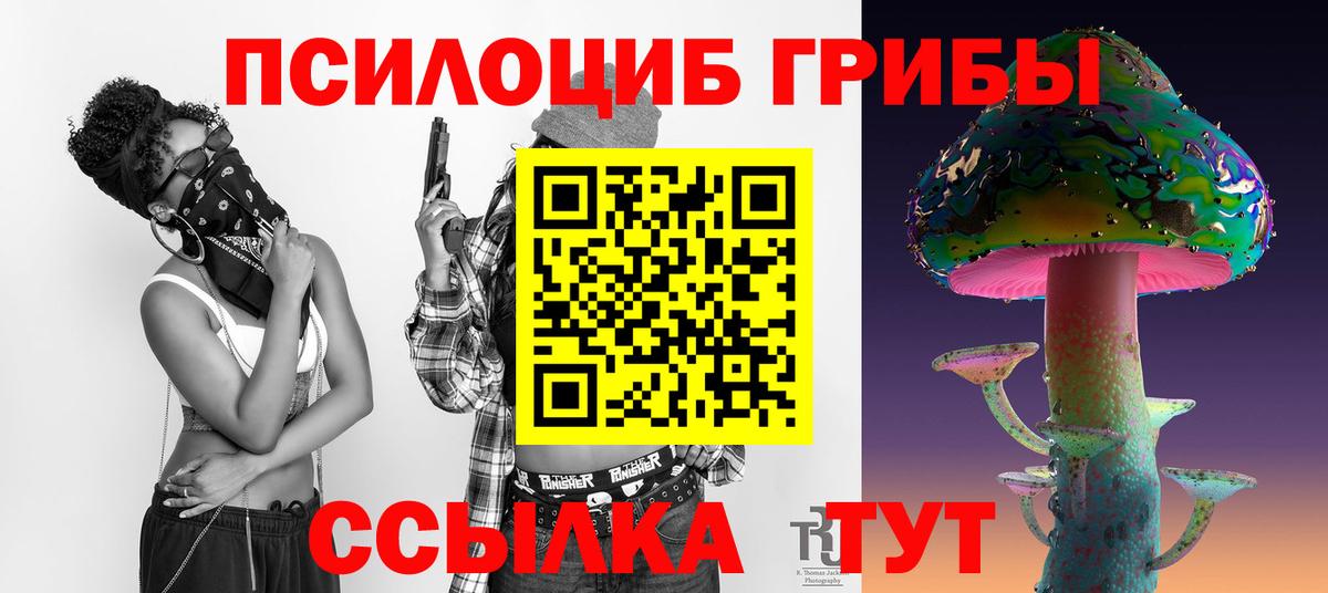 Галлюциногенные грибы Psilocybe  Вход с VPN  Трёхгорный 